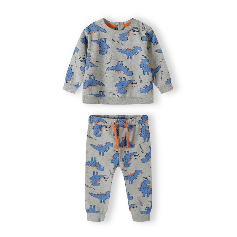 Baby Dinosaur Set
