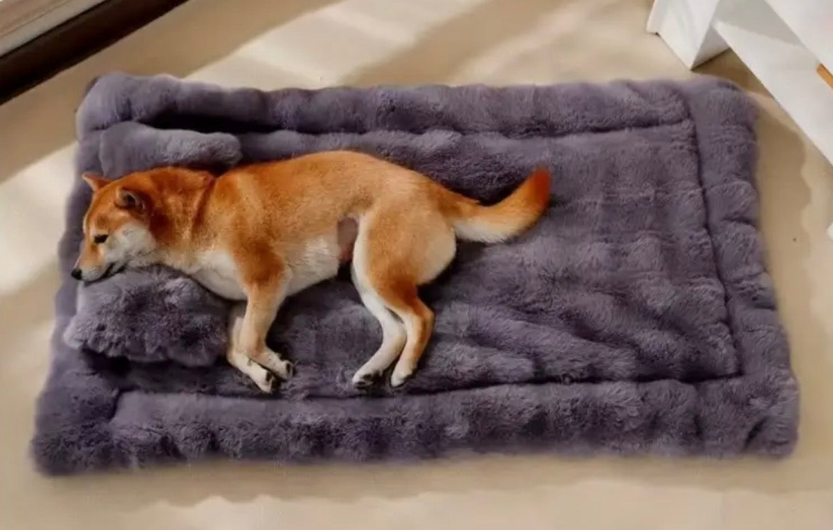 2pcs Set (Pet Mat + Pet Pillow)