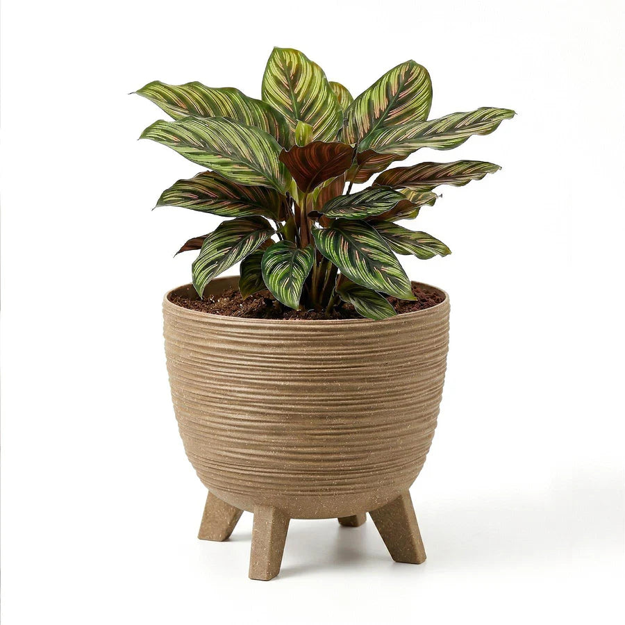 Brown Flower Pot with Legs, 29 cm