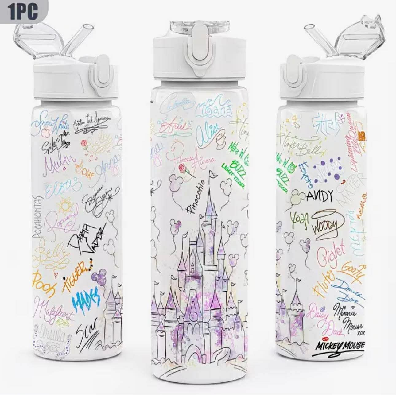 A Charming And Stylish 750ML Water Bottle Featuring a Disney Castle Design