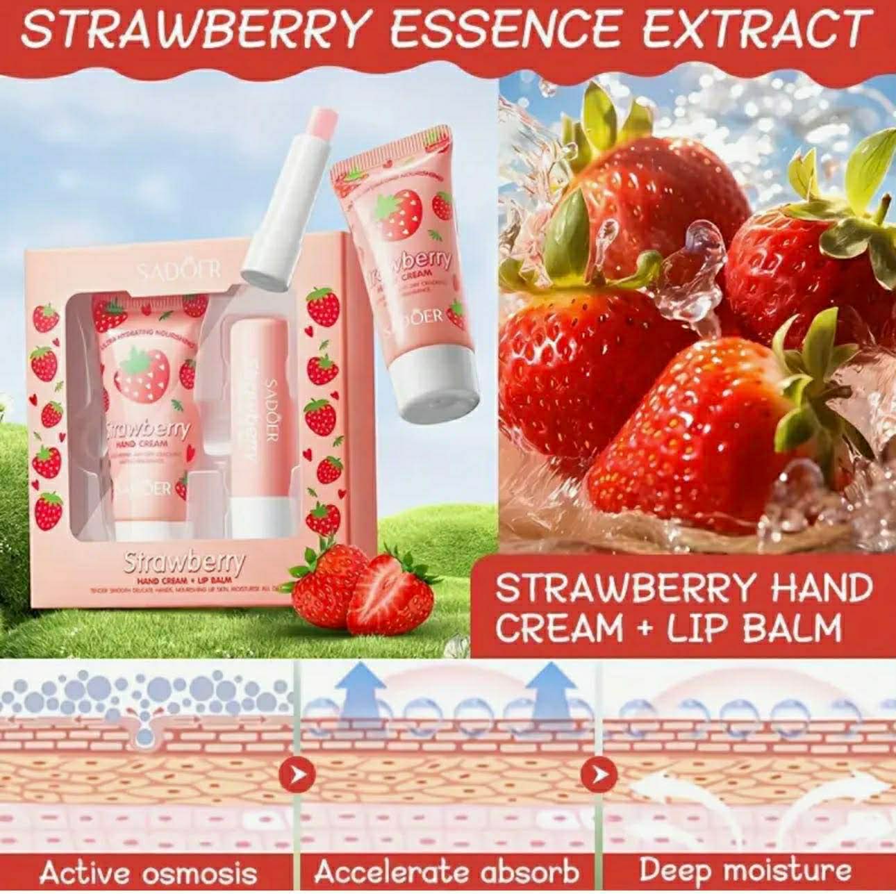 Lip Balm & Hand Cream Set