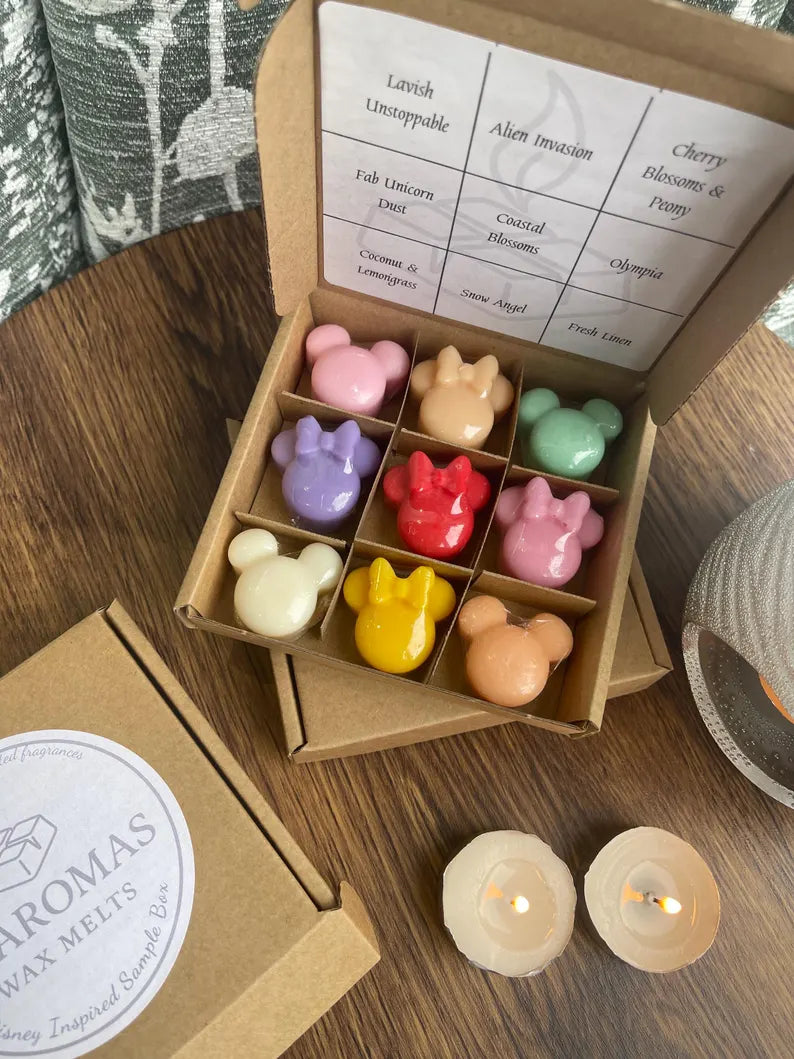 Disney Inspired Wax Melt Sample Box