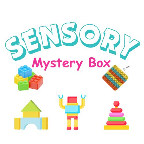 Sensory mystery box