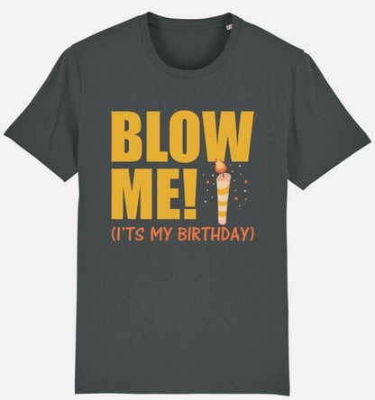 Blow Me It's My Birthday T-Shirt