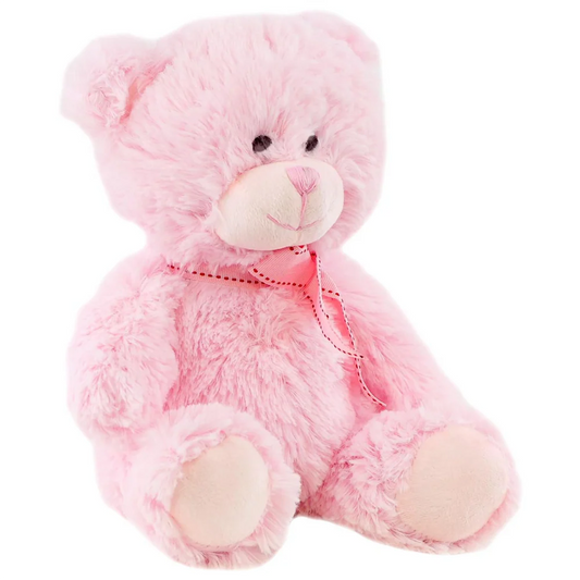 Pink Plush Teddy Bear Soft Toy
