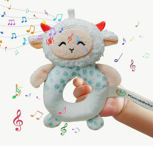 A Baby Music Toy