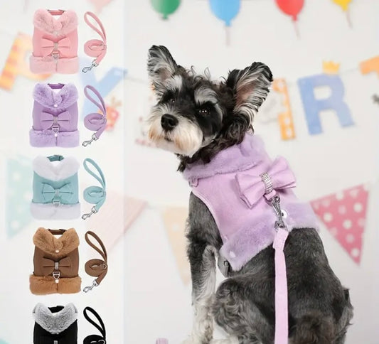 Bow tie harness dress with lead