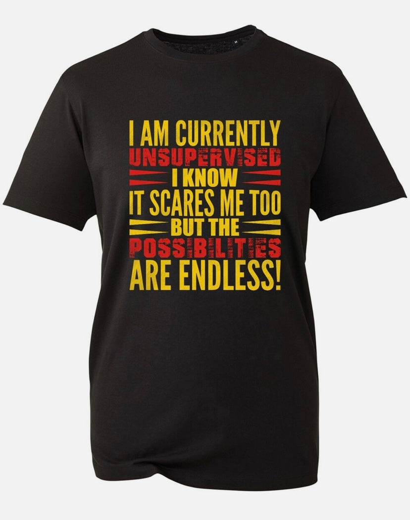 Funny T Shirt, Novelty Joke Gift