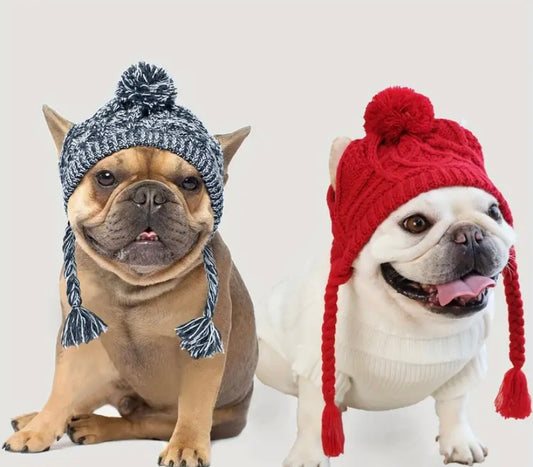 Winter dogs hat