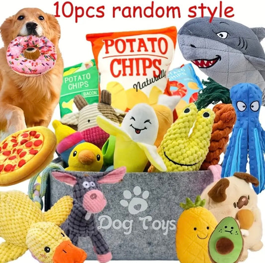 10 random dog toys