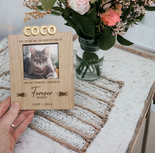Favourite Hello Cat Plaque