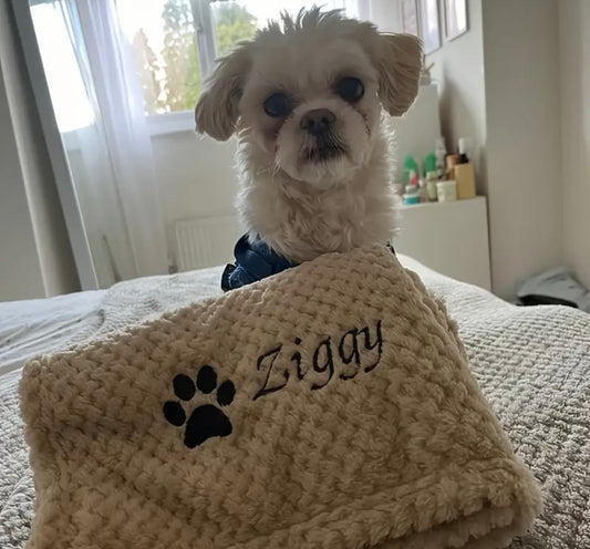 Personalised Dog & Cat Blanket