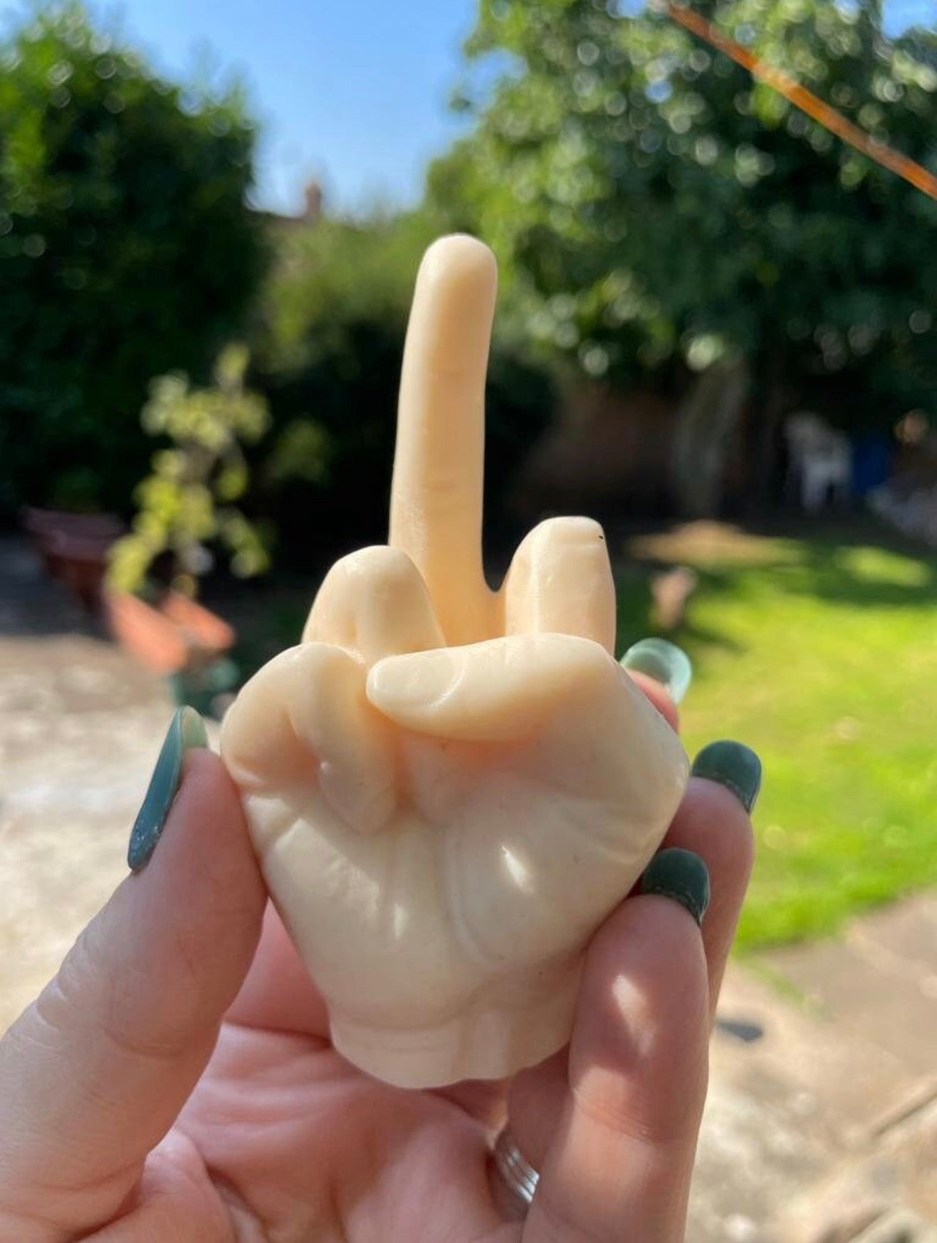 Middle Finger Funny Soap