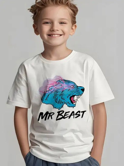 Mr beast top