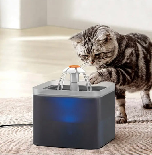 Cat Fountain 2L