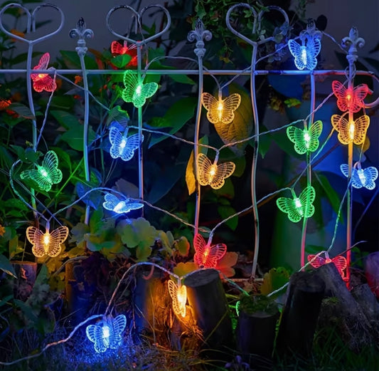 Butterfly lights