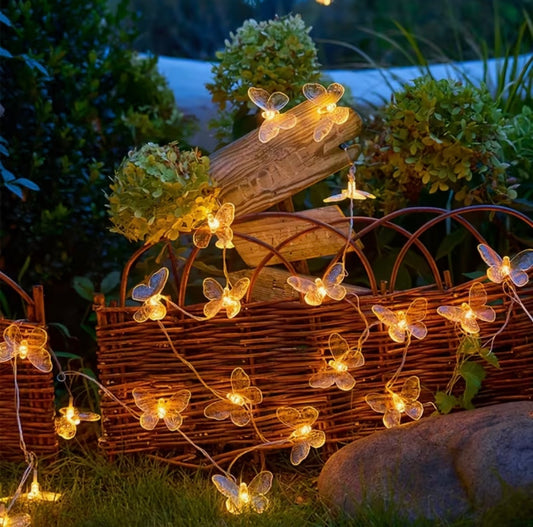 Butterfly lights