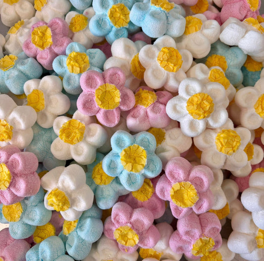Freeze dried marshmallows flowers