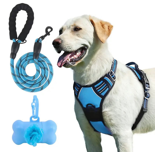 4pcs dog harness and leash set
