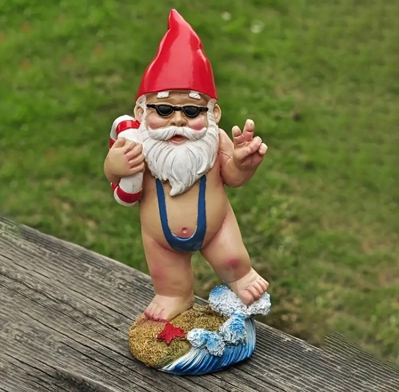 Naughty gnome