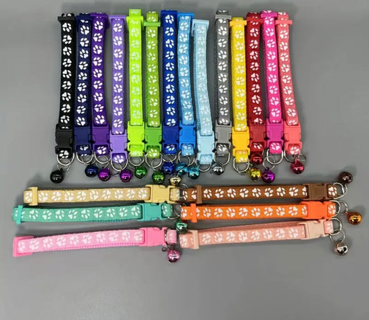 10 dog collars