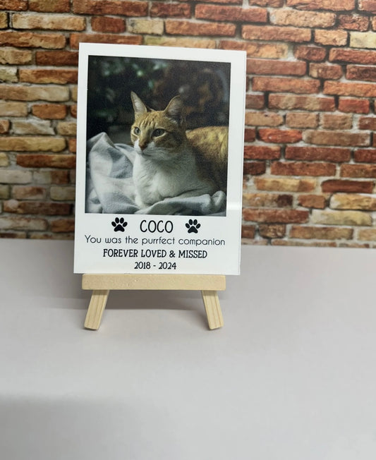 Personalised Perfect Companion Polaroid