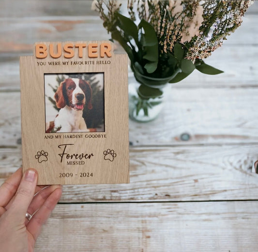 Favourite Hello Dog Plaque