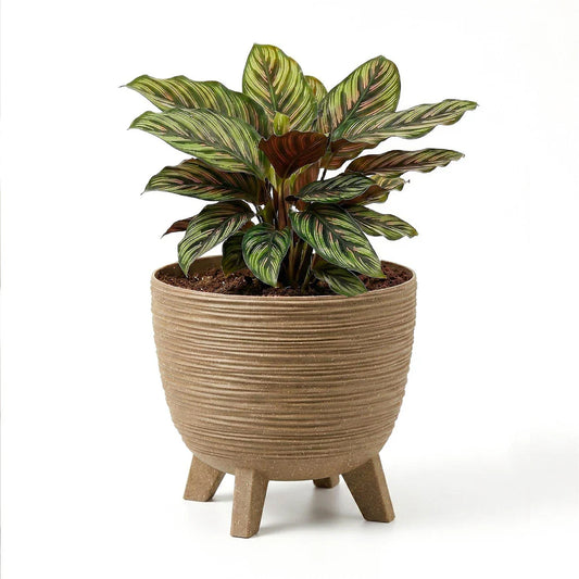Brown Flower Pot with Legs, 29 cm