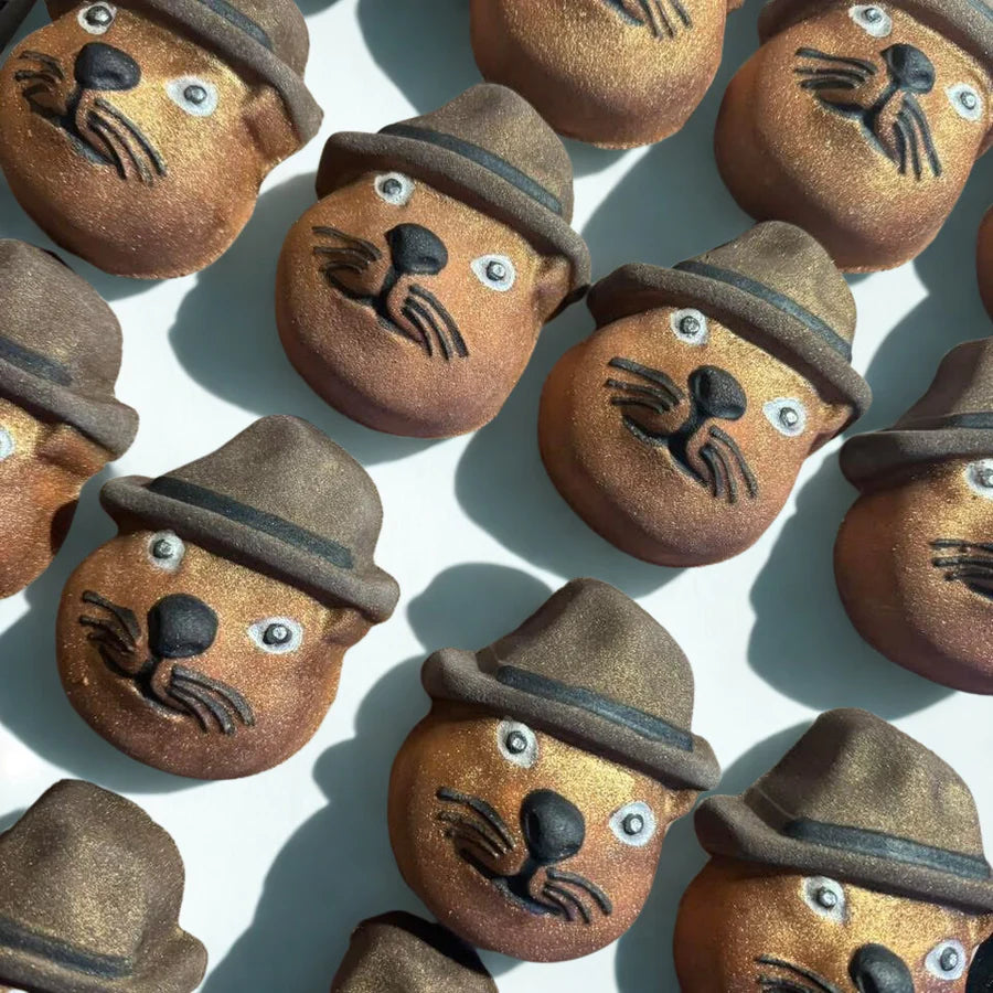 Beaver Bath Bomb