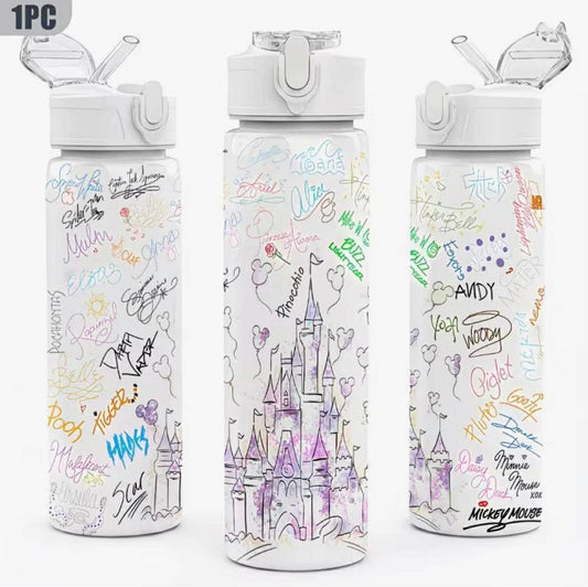 A Charming And Stylish 750ML Water Bottle Featuring a Disney Castle Design