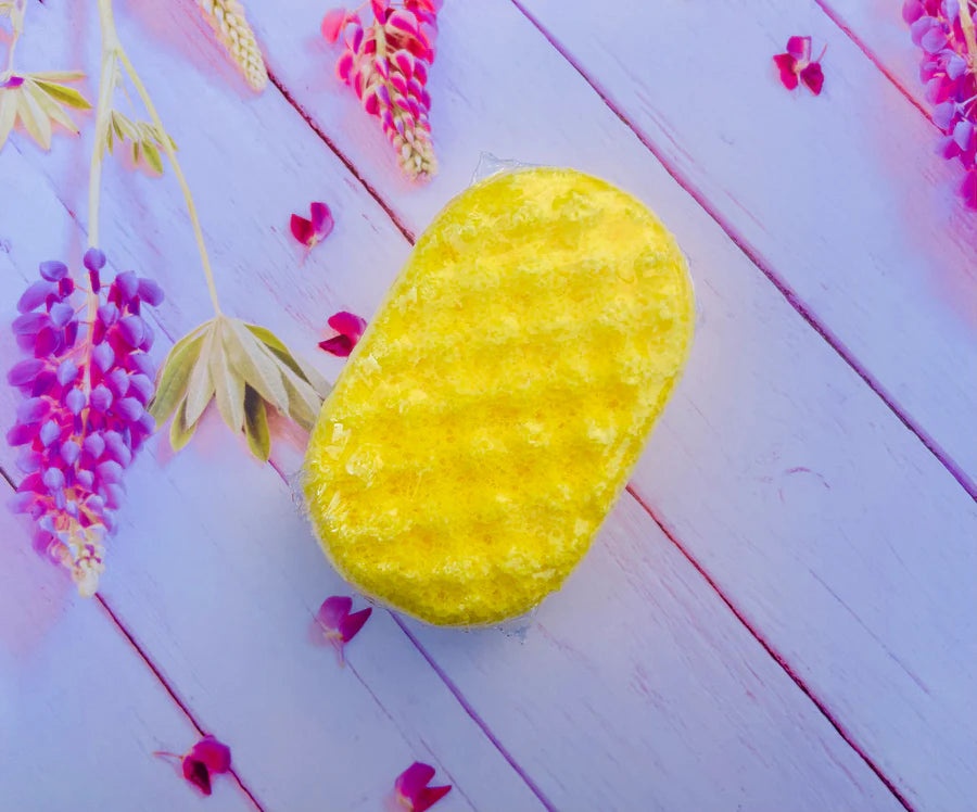 Large Love On The Beach Soap Sponge