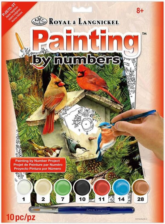 Paint By Numbers Kit – Native Neighbours Birds