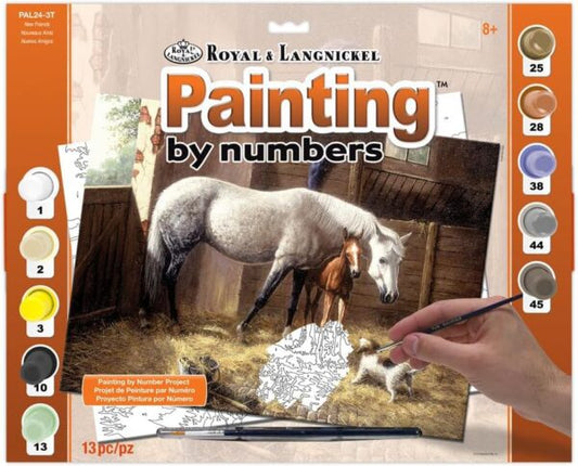 A3 Paint By Numbers Kit – New Friends