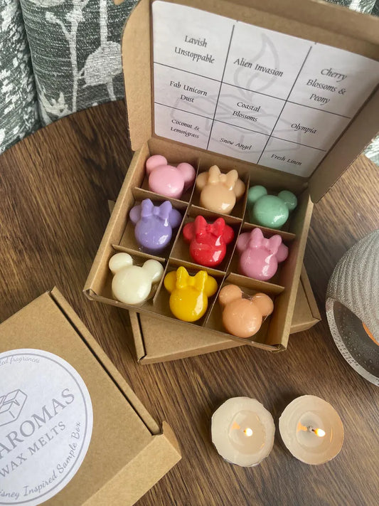 Disney Inspired Wax Melt Sample Box