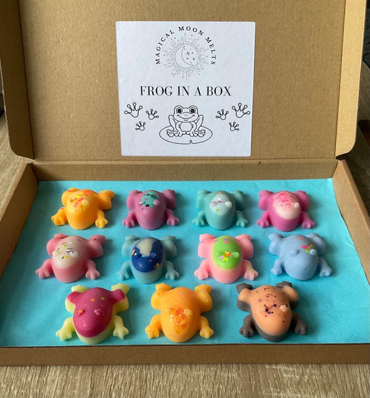 11 Wax Frogs In A Box wax