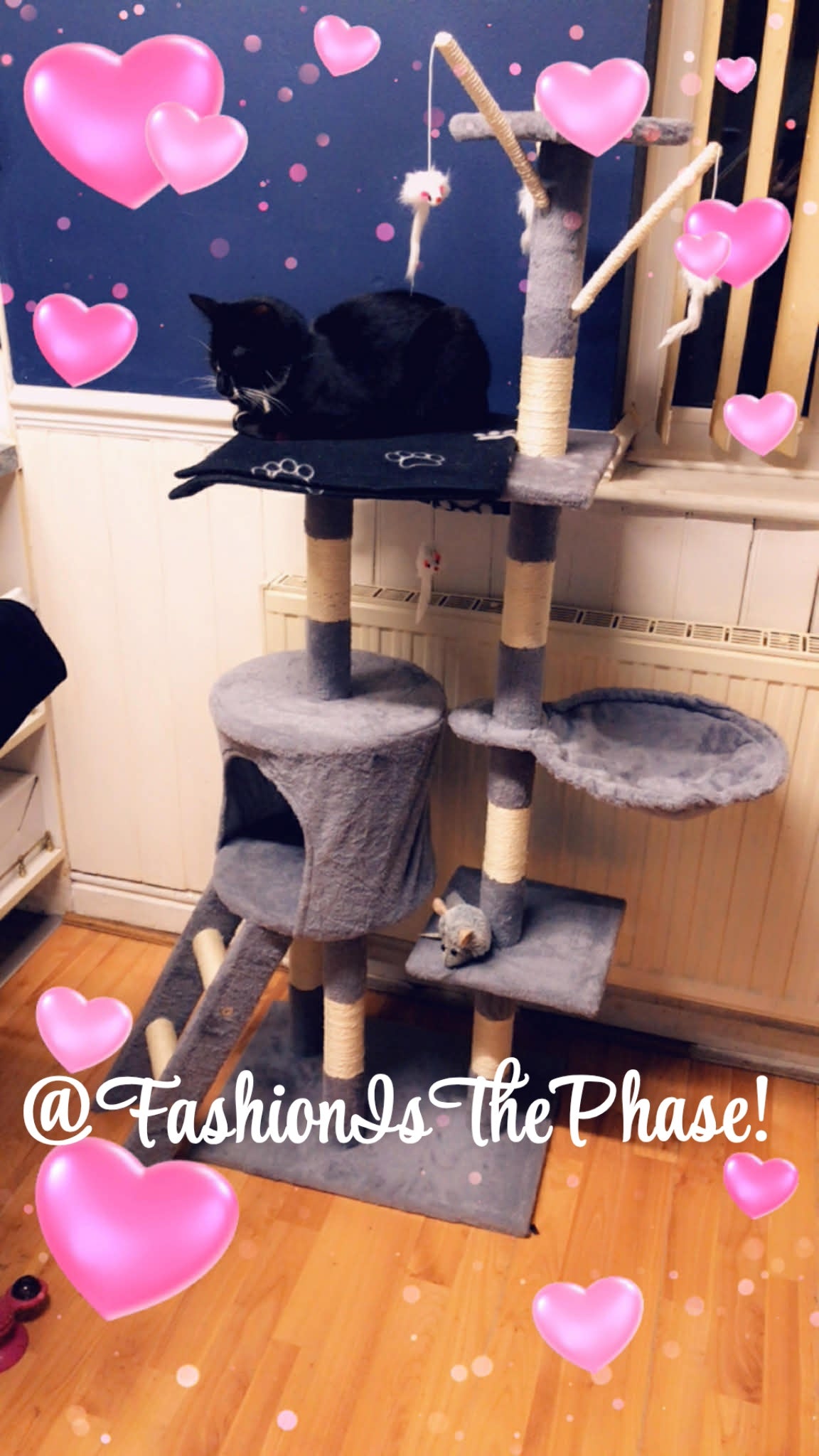 Large Cat Tree Tower
